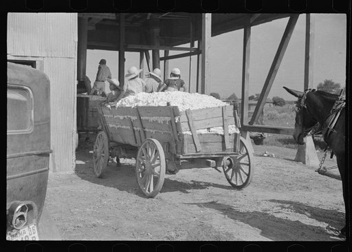 Untitled photo, possibly related to: At the cotton gin. Cotton gin and wagons. Hale County, Alabama