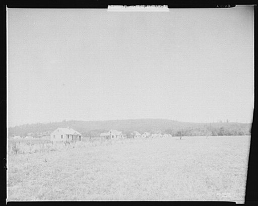 View of Longview Homesteads, Rural Resettlement Administration project, under construction. Washington