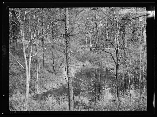 Old iron mine on the property of Resettlement Administration. Berwyn, Maryland