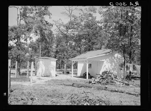 Backyard. Meridian (Magnolia Homesteads), Mississippi