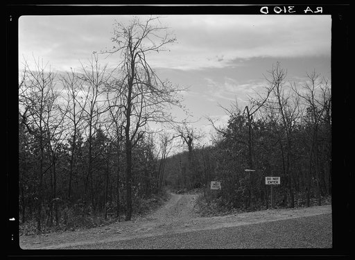 Road to Corbin Hollow from Skyline Drive. Shenandoah National Park, Virginia