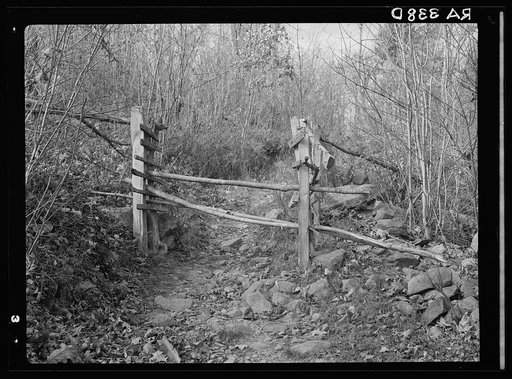 Road to Corbin Hollow. Shenandoah National Park, Virginia
