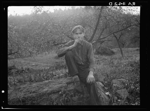 Adam Nicholson. Shenandoah National Park, Virginia