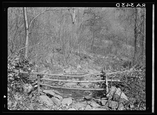 Broken Back Run, water supply for Corbin Hollow. Shenandoah National Park, Virginia