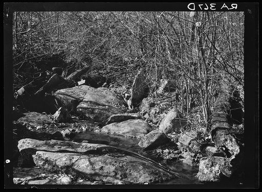Water supply at Corbin Hollow. Shenandoah National Park, Virginia