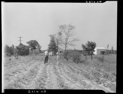 Settlers on McComb Homesteads at work in their garden. Pike County, Mississippi