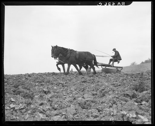 Using a harrow on a Maryland farm