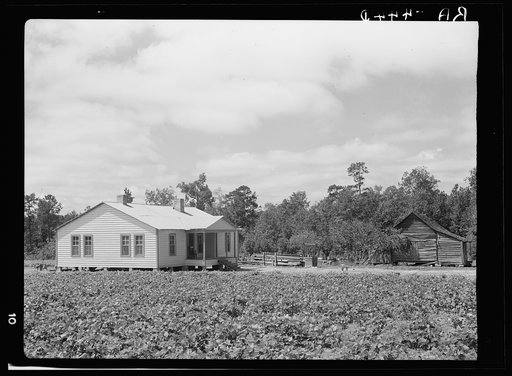 New house and old house. Wolf Creek Farms, Georgia