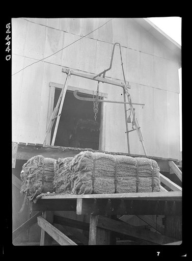 Bales of cotton at cotton gin near Irwinville, Georgia