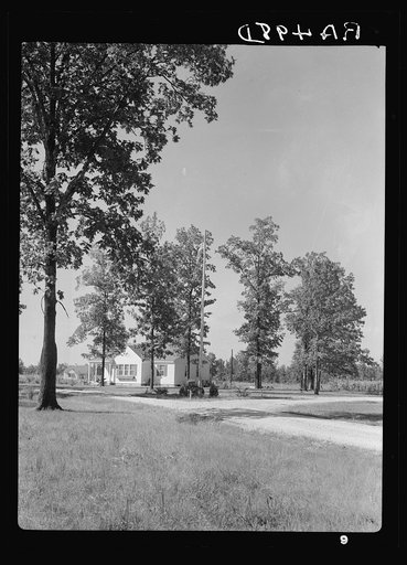 View. Tupelo Homesteads. Tupelo, Mississippi