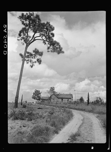 Home of tenant farmer who has not yet been moved into a new house. Irwinville Farms, Georgia