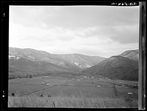 General view of Ida Valley Homesteads looking east from top of pasture hill. Luray, Virginia