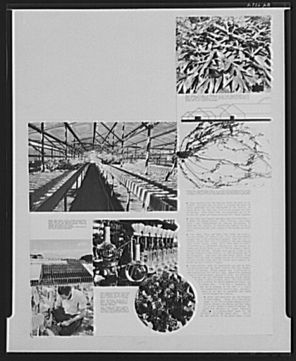 Page from National Agricultural Research Center book