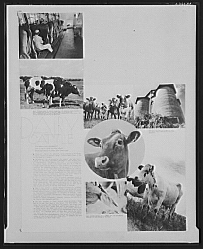 Page from National Agricultural Research Center book