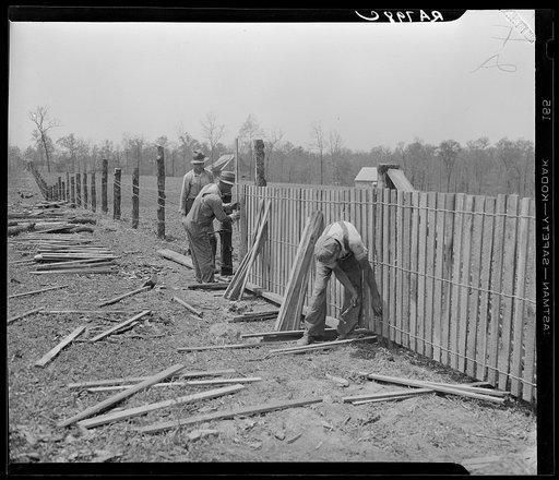 Erecting a fence at Cumberland Homesteads. Crossville, Tennessee