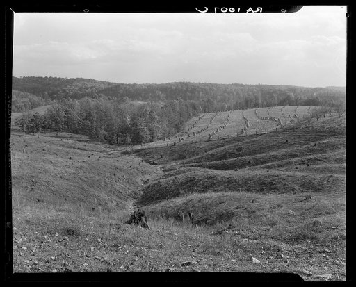 Cut-over land and first stages of gully erosion. Brown County, Indiana
