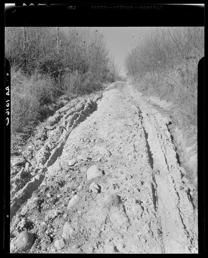 Poor country road typical of this area. Brown County, Indiana