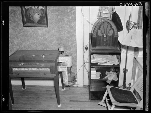 Egg hatchery in parlor of rehabilitation client's home. Lancaster, New Hampshire