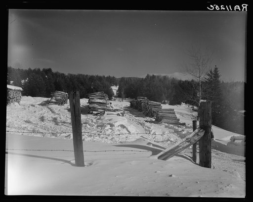 Pulpwood cut by Forest Products Association, Inc. Coos County, New Hampshire