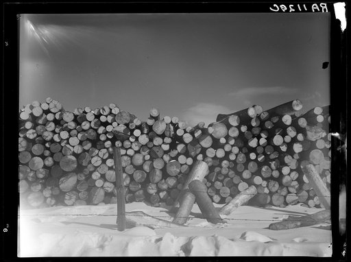 Pulpwood cut by Forest Products Association, Inc. Coos County, New Hampshire