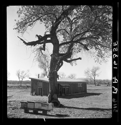 Temporary home. These buildings to be remodeled later on for barns and outbuildings. Bosque Farms project, New Mexico