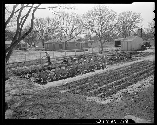 El Monte federal subsistence homesteads. Seventeen dollars and seventy cents rent to apply on purchase of three-room house. California