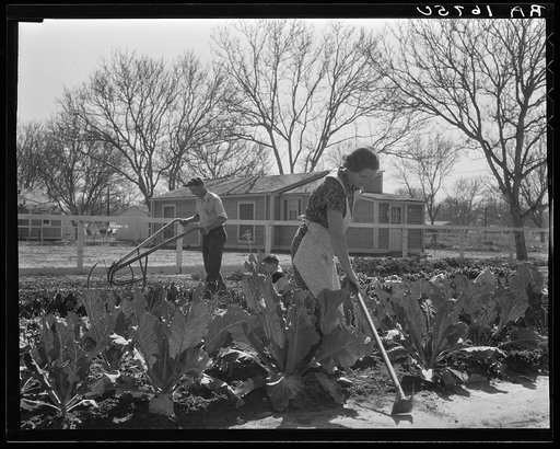 El Monte federal subsistence homesteads. Three-room house seventy dollars and seventy cents monthly. Rent to apply on purchase. Four in family. Father, carpenter, earns seventy dollars monthly. California