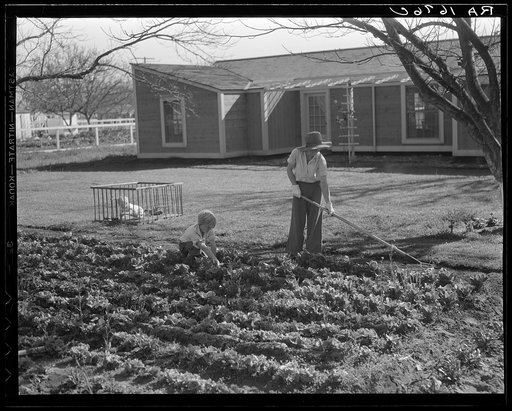 El Monte Federal subsistence homesteads. One hundred homes, each with three quarters of an acre land, all occupied. Average family income, eight hundred dollars per annum