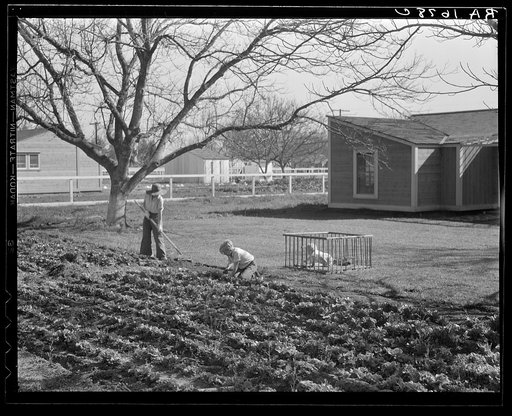 El Monte federal subsistence homesteads. One hundred homes, all occupied, each with three quarters of an acre land. Average family income eight hundred dollars per annum