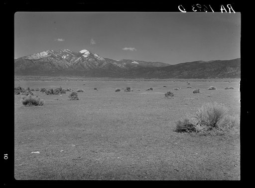 Barren overgrazed land on the Taos land use project, New Mexico. This land will become good sheep-grazing acreage when the grass is allowed to grow back