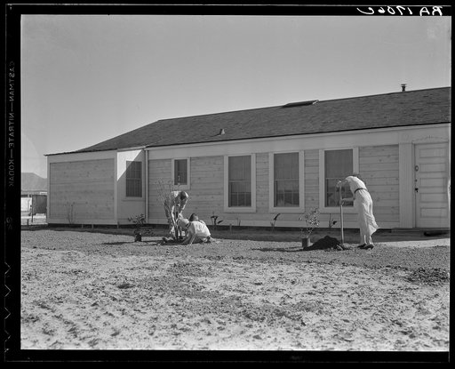 San Fernando federal subsistence homesteads. Forty homes, all occupied, each with nearly an acre of ground. Average income eight hundred dollars yearly. California