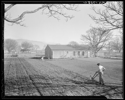 El Monte federal subsistence homesteads. Four in family. Three-room house, seventeen dollars and seventy cents rent to apply on purchase. Father's occupation: carpenter. Earns seventy dollars a month. California