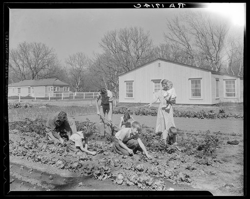 El Monte federal subsistence homesteads  Four-bedroom house. Eight in family, six boys ages one to fourteen, California. Father is streetcar conductor, one hundred dollars a month. Pays sixteen dollars and twenty cents a month rent to apply on purchase