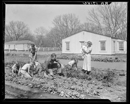 El Monte federal subsistence homesteads. Four-bedroom house. Eight in family, six boys, aged one to fourteen. Father is conductor (streetcar), one hundred dollars monthly. Pays sixteen dollars and twenty cents a month rent on purchase. California