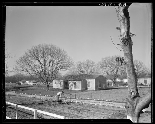 El Monte federal homesteads. One hundred occupied homes, each with nearly an acre. Average yearly income eight hundred dollars. California