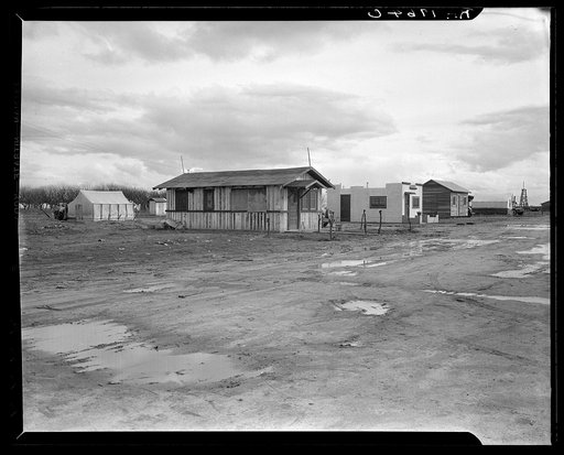 Street and homes in "Little Oklahoma." Forty families in this group.  Tents, tent houses, shacks, freight cars converted into homes
