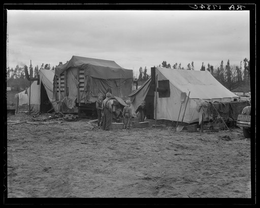 In one of the largest pea camps in California