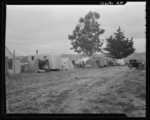 String of five housecars. This group represents good conditions among pea pickers. California