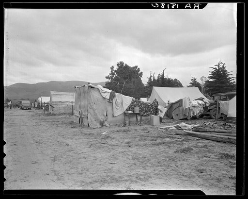 Camps of migrant pea workers. California
