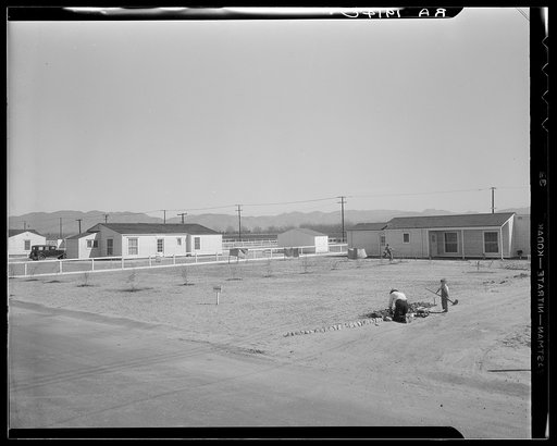 San Fernando federal subsistence homesteads. Forty homes all occupied, each with nearly an acre land. Average yearly income eight hundred dollars. California