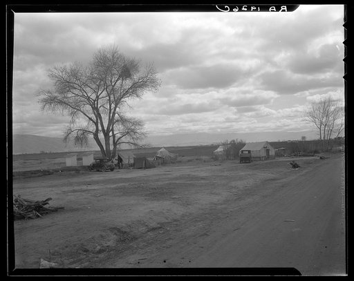 Part of a roadside ranch camp. Twelve tents in this group. Owned by one of the large farmers who is opposed to Resettlement Administration's migrant camp. California