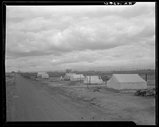 Roadside ranch camp owned by large grower who is opposed to Resettlement Administration's Kern County migrant camp. California