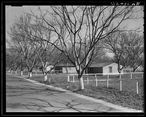 El Monte federal subsistence homesteads. One hundred homes. All occupied, each with nearly an acre of ground. Average yearly income eight hundred dollars. California