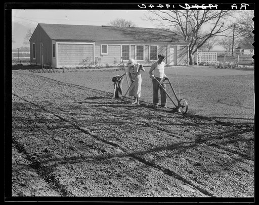 El Monte federal subsistence housing. Three-room house. Seventeen dollars and seventy cents rent applied on purchase. Father: carpenter. California