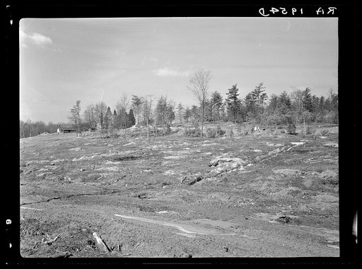 Lake site. Berwyn, Maryland