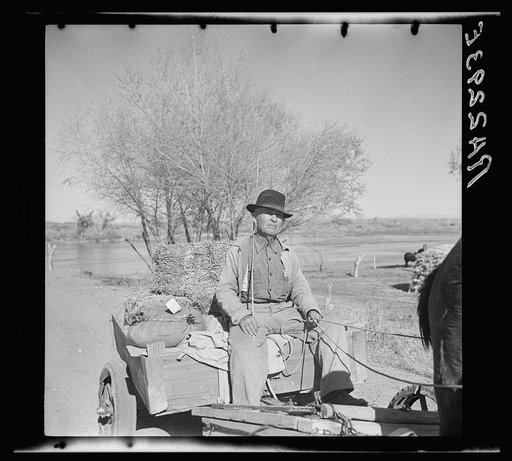 Farmer of the Rio Grande Valley coming home from town. Dona Ana County, New Mexico