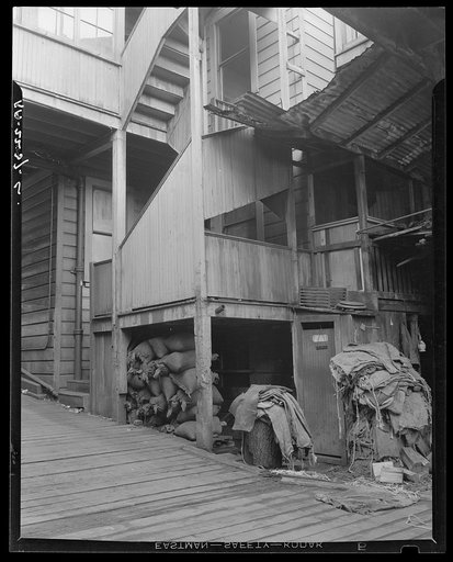 Backyard. North Beach District (Italians). San Francisco, California
