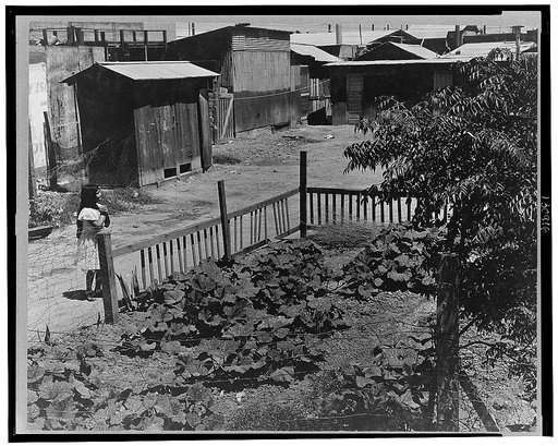 Mexican field laborers' houses. Brawley, Imperial Valley, California