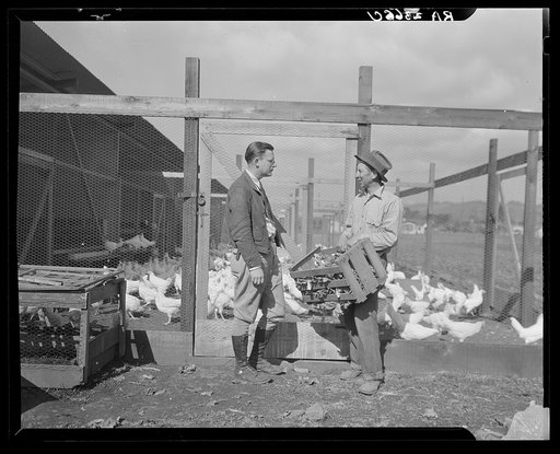 Rural Rehabilitation Administration client with the Rehabilitation Administration county agent. Outside of Hayward, California