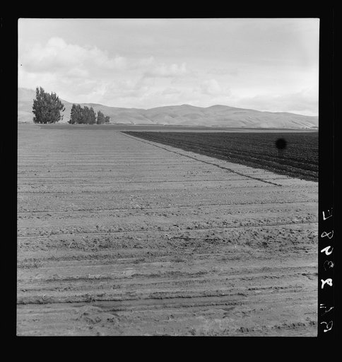 Freshly-plowed sugar beet field near King City. Shows large scale of farm operations in California